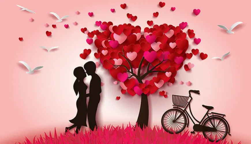 Bay Romantik Yarı tekting hikayesi