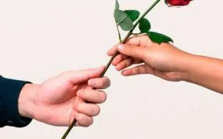 Senden Başka Aşk Yok