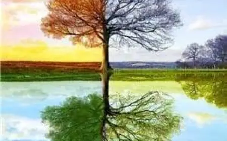 Herşey Zıttıyla Vardır