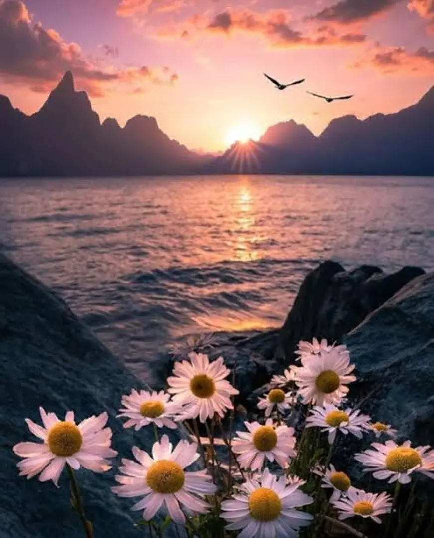 BENİ BENDEN ETTİN