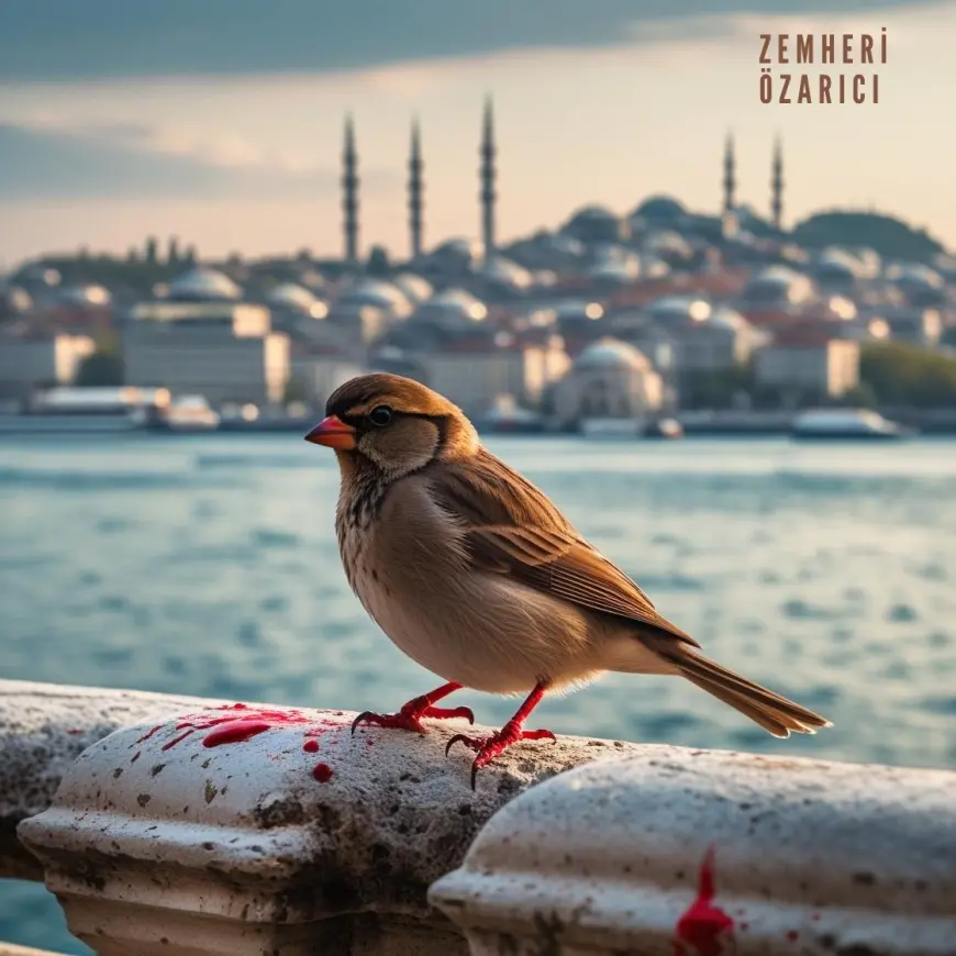 Kartal Vahşeti