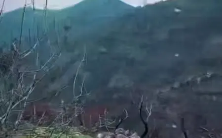 KALBİMİZDEN DİLİMİZE DÖKÜLEN İNCİLER