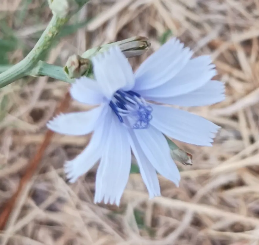 EL YERİNE KOYULMUŞUM