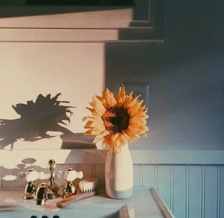 Sade Bir Vazonun Fısıltısı