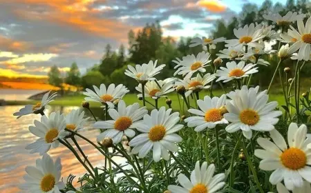 Çiçeklerden bir geçit olsan