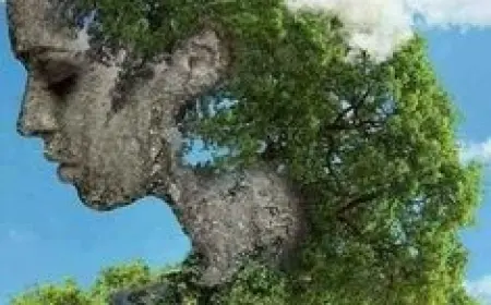 İlaç olarak kullanılan bitkiler..