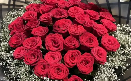 Bir Kadının Kendine Geç Kalması