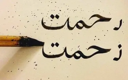 Kavramlar'ın Bize Öğrettiği Şeyler