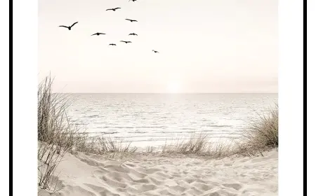 GÖÇMEN KUŞLAR GİBİ