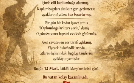 KAPLUMBAĞALAR VE BİR İSTİKLÂL GAZİSİ /SUCU MEVLÜT