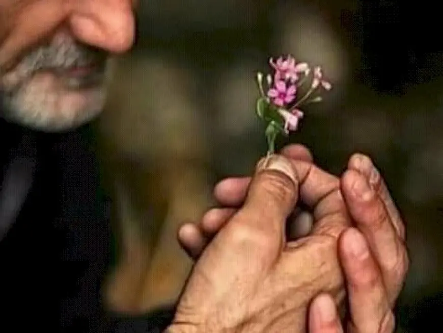 Özlem