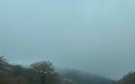 40 Kıyam, 40 Sual, 40 Kıyım