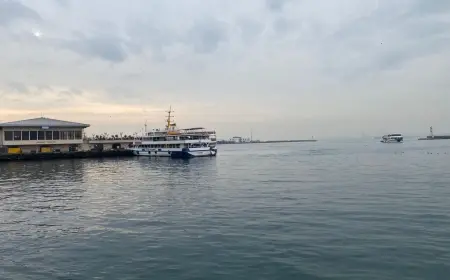 Teslimiyet Limanında Çözülen Düğümler