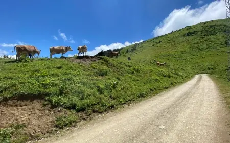 Anlaşılmak Üzere Anlaşmalar