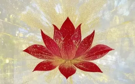 Lotus
