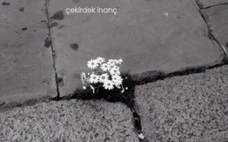 İyi olmayı denedin mi hiç?