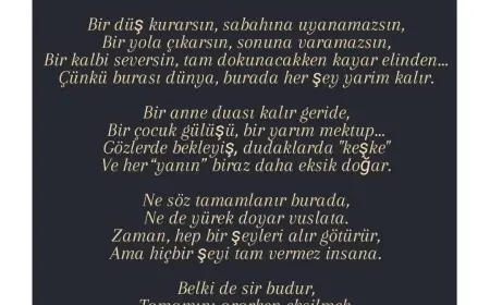 Burası Dünya