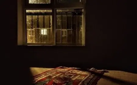 Dayan Gönül