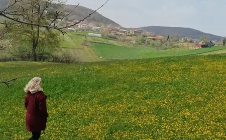 MUTLULUK