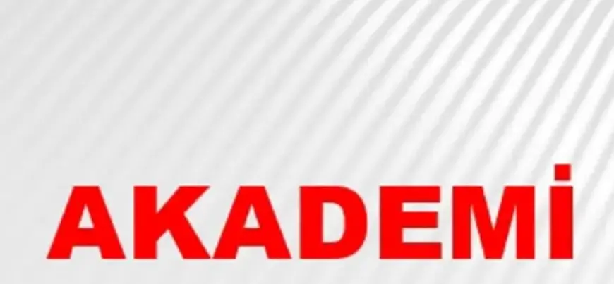Toplumsal Hafıza Akımı, İntihal ve Akademi