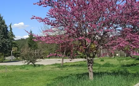 Seninle Anlamlı Herşey