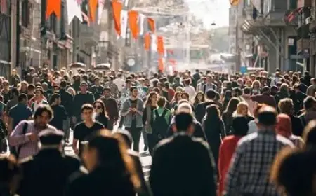 Toplumsal Hafıza Akımı ve Kimlik Krizi