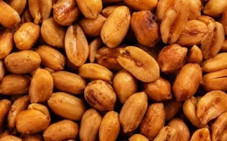 Bir Yer Fıstığı Kadar Kısa