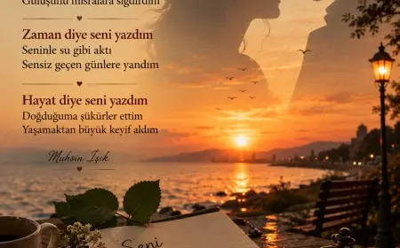 Seni Yazdım
