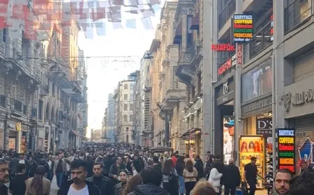 Ne Biliyorsun
