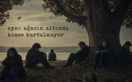 Aynı Ağacın Altında Kimse Kurtulmuyor