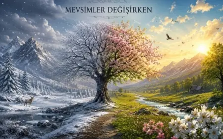 MEVSİMLER DEĞİŞİRKEN