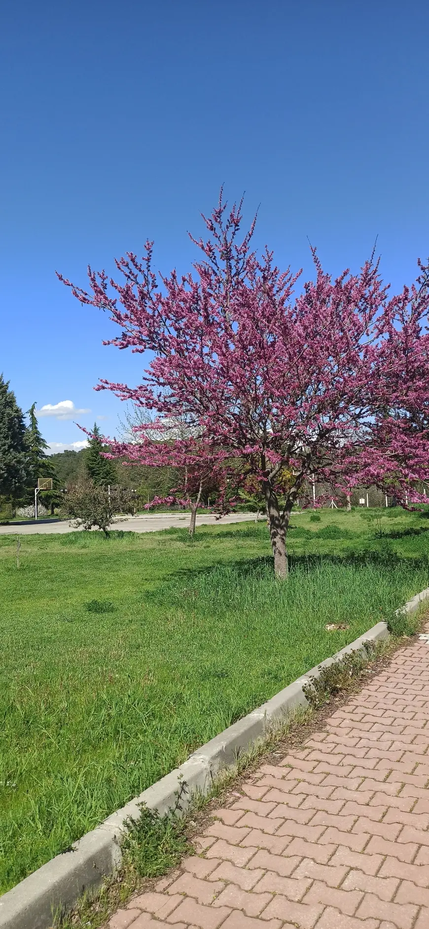 Seninle Anlamlı Herşey