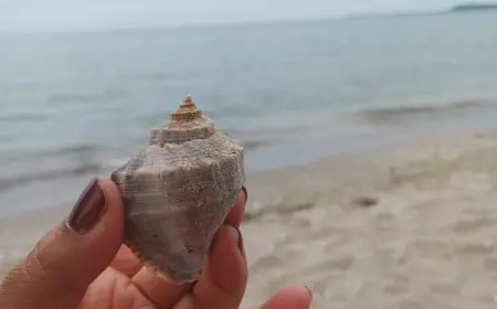 AŞK DEDİĞİN