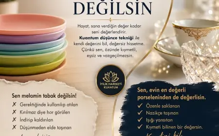 Sen Melamin Tabak Değilsin