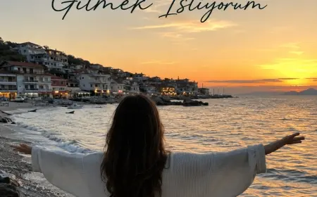 Gitmek İstiyorum