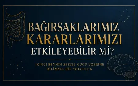 BAĞIRSAKLARIMIZ KARARLARIMIZI ETKİLEYEBİLİR Mİ ? İKİNCİ BEYNİN SESSİZ GÜCÜ ÜZERİNE BİLİMSEL BİR YOLCULUK