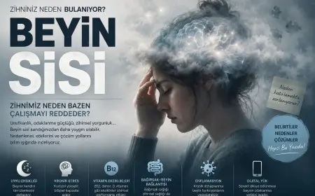Beyin Sisi: Zihnimiz Neden Bazen Çalışmayı Reddeder?