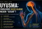 Uyuşma: Sinirlerimiz Neden Geçici Olarak “Susar”?