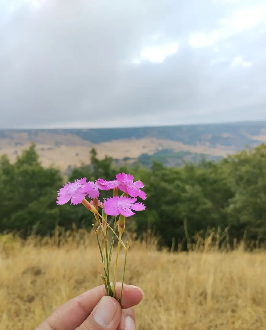HASRET YÜKLÜ GÜZEL