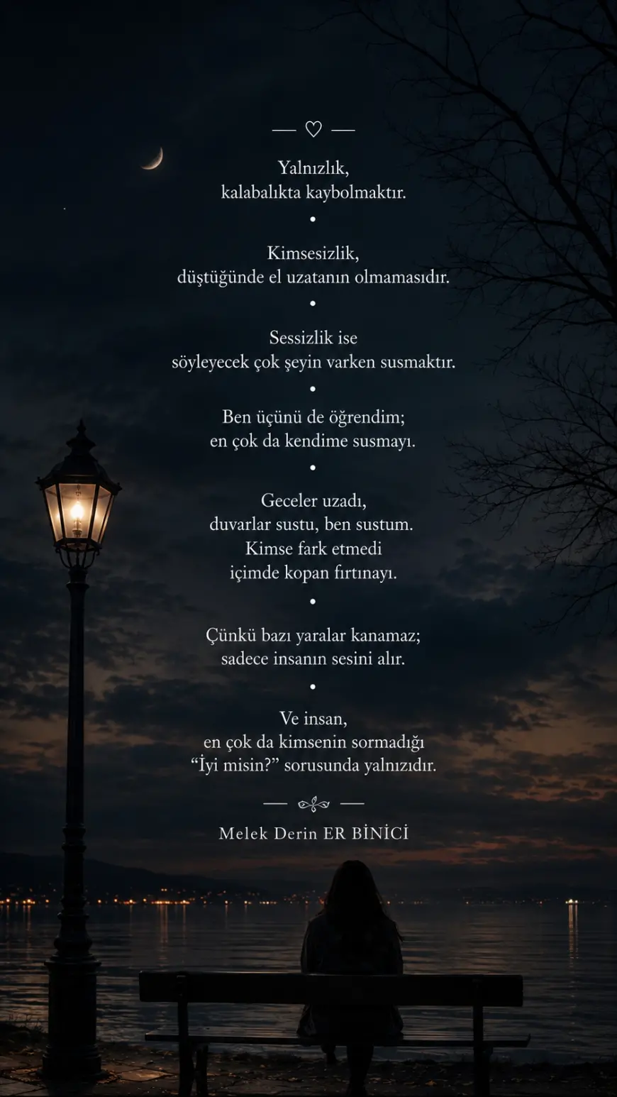 SESSİZLİĞİN İÇİNDE