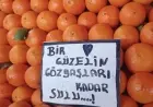 KALEMİMDEN SÜZÜLEN LER …