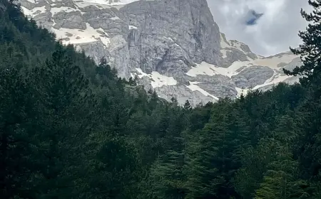 İçimde Çözülen Karlar