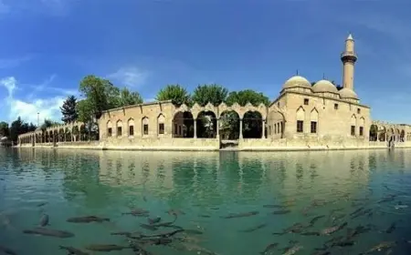 SEVDAM URFA