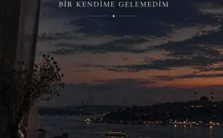 HERKESE VARDIM DA BİR KENDİME GELEMEDİM