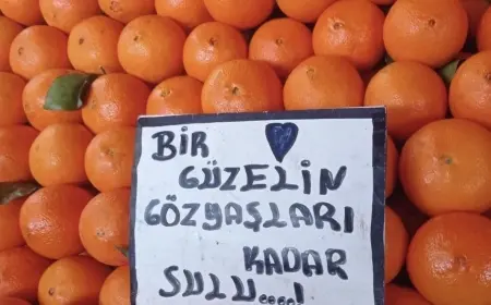 KALEMİMDEN SÜZÜLEN LER …