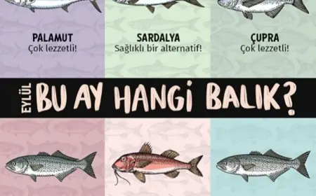 Denizin Bereketli Zamanı: Eylül Ayı Balıkları