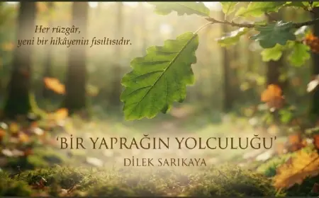 BİR YAPRAĞIN YOLCULUĞU