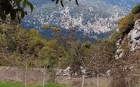 AKŞAMÜSTÜ