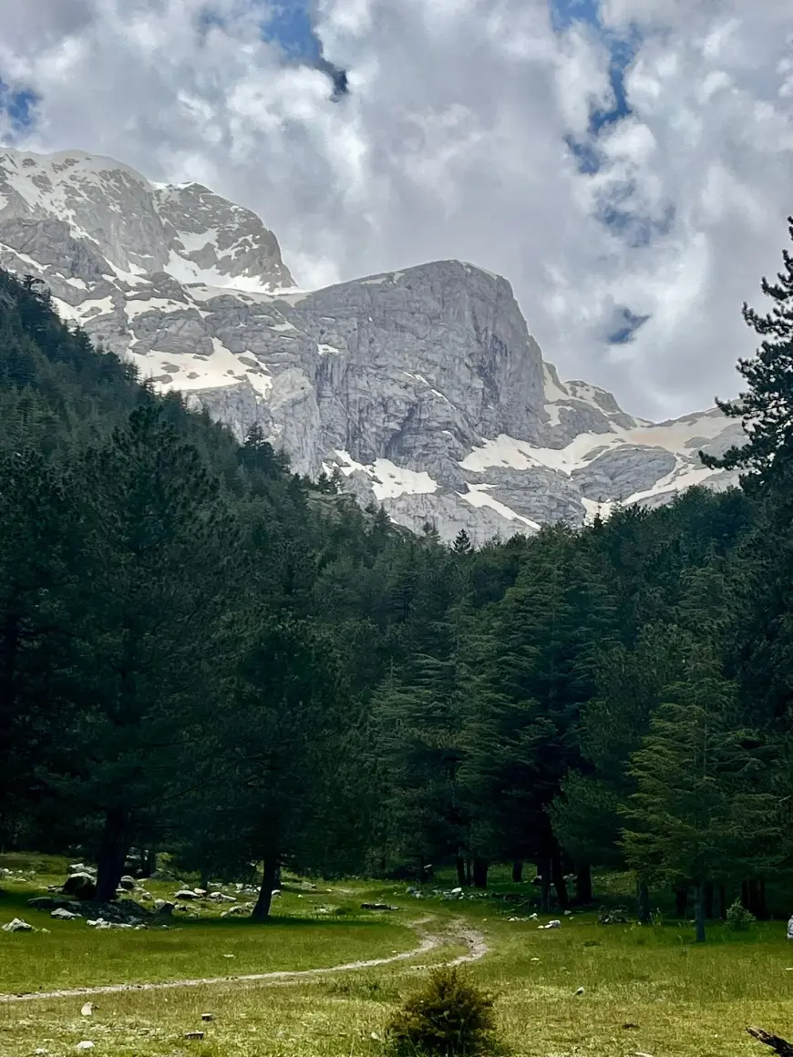 İçimde Çözülen Karlar