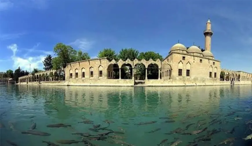 SEVDAM URFA
